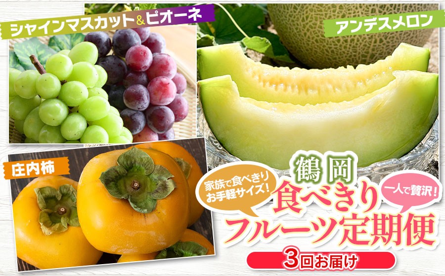 
                  【令和8年産先行予約】鶴岡食べきりフルーツ定期便（3回お届け）　庄内砂丘メロン・シャインマスカット＆ピオーネ・庄内柿 山形県 鶴岡市
                