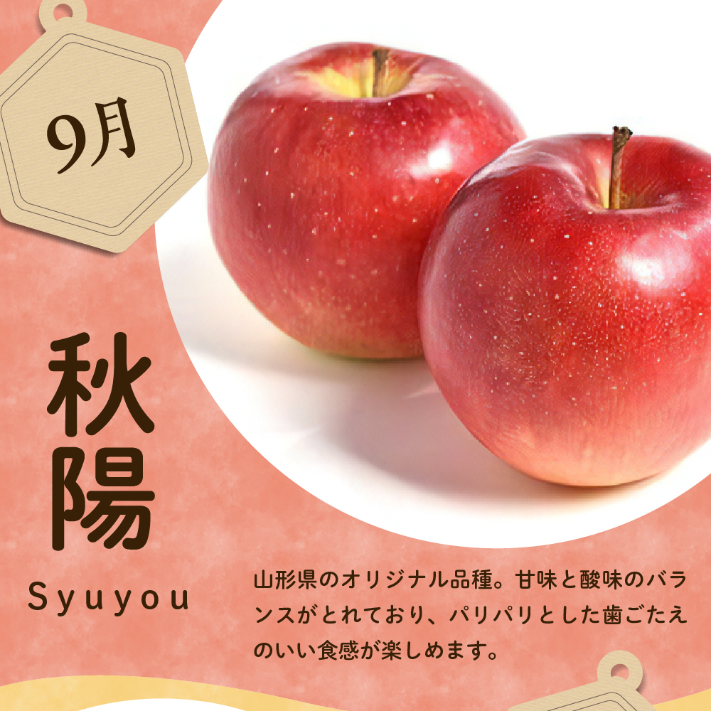 【先行予約】 定期便 令和8年産 りんごの定期便 全4回 4種 × 約2kg 計 約8kg 秋陽 秋映 シナノスイート サンふじ フルーツアドバイザー 厳選 2026年9月下旬頃～ 発送開始予定 山形
