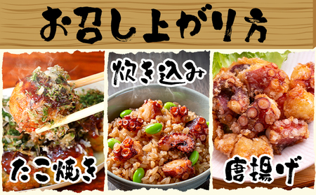 タコ ボイルカット 500g 高橋商店 たこ