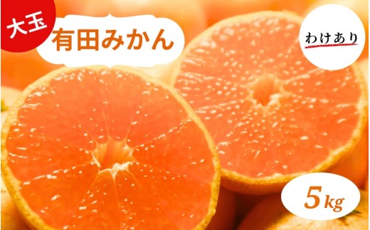 
                  和歌山県産 有田みかん 大玉5kg 2L～3L 訳あり ※2026年10月中旬～2027年1月中旬頃に順次発送予定【smt001A】
                
