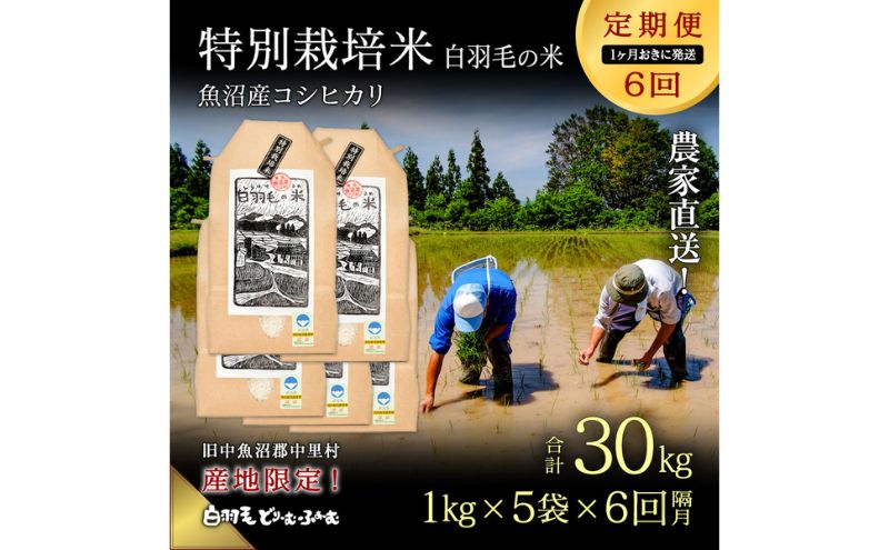 【通年受付】≪令和7年産 ≫【定期便／1ヶ月おき全6回】農家直送！魚沼産コシヒカリ特別栽培「白羽毛の米」精米(1kg×5袋)×6回 30kg お米 白米 ご飯 