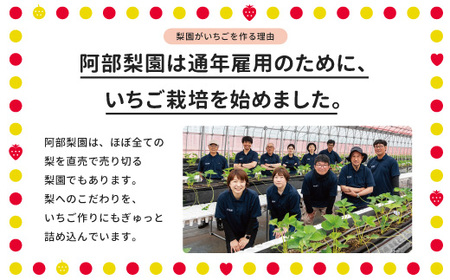 阿部梨園の完熟とちあいか（厳選つぶより）　※離島への配送不可　※2024年12月上旬～2025年5月中旬頃に順次発送予定