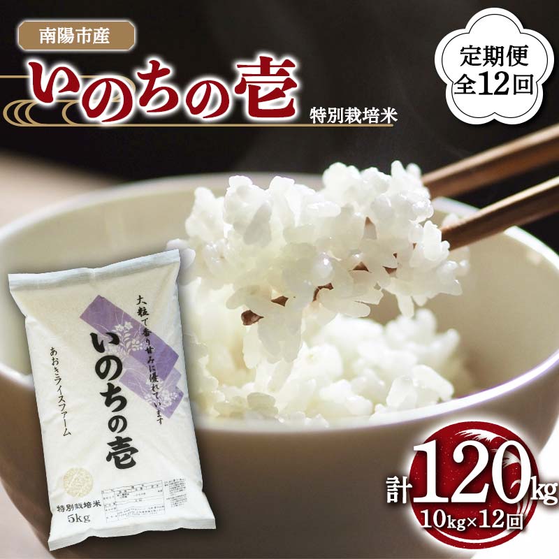 【ふるさと納税】 【金賞受賞農家】 《定期便12回》 令和7年産 特別栽培米 いのちの壱 計10kg(5kg×2袋)×12か月 『あおきライスファーム』 山形南陽産 米 白米 精米 ご飯 農家直送 山形県 南陽市 [2670]