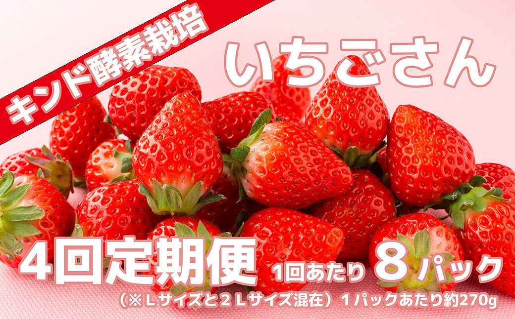 
            【定期便】【全4回】【キンド酵素栽培】いちごさん(8パック×4回)
          