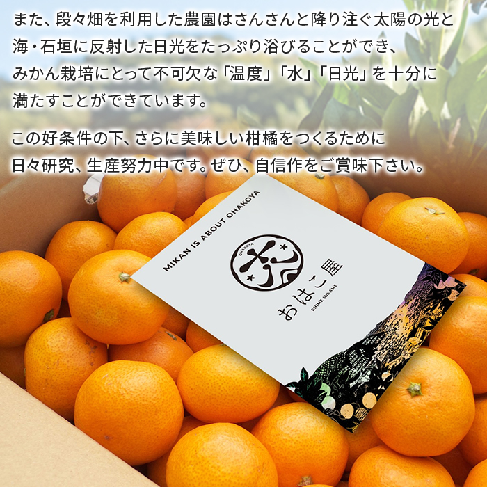 ＜おはこやがつくる おはこデコ（不知火）約3kg（L～3Lサイズ）＞ 果物 くだもの フルーツ 柑橘 蜜柑 ミカン しらぬい シラヌイ みかん 特産品 西宇和 愛媛県 西予市