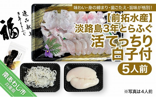 【冷蔵配送】前拓水産の淡路島3年とらふぐ（活てっちり／白子付）5人前◆配送期間12月1日～2月28日