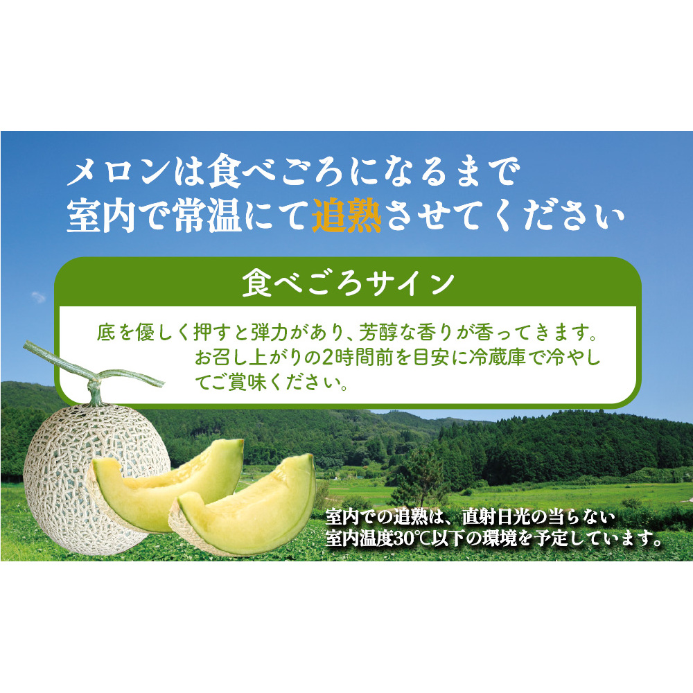 【期間限定】有機メロン「あま玉」1玉 Lサイズ 1.4kg～【R8年7月15日より順次発送】_イメージ5