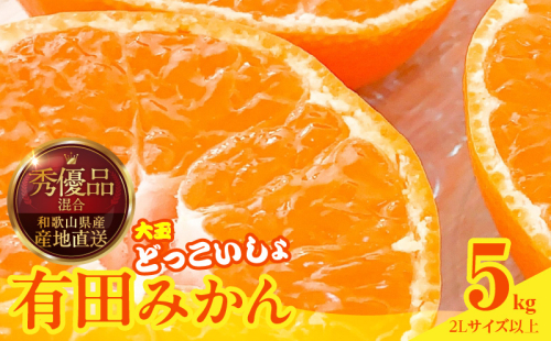 MK1033_2月28日終了！ 最短出荷すぐ届く！みかん 大玉 どっこいしょ 箱込 5kg ( 内容量 4.4kg ) 2Lサイズ以上 秀品 優品 混合 有田みかん 和歌山県産 産地直送 【みかんの会】