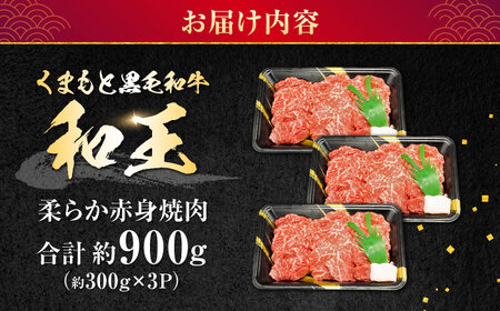 熊本県産 A5等級 黒毛和牛 和王 柔らか赤身焼肉 約300g×3P 計約900g【帝神志方ミート 株式会社】[AYCH094]