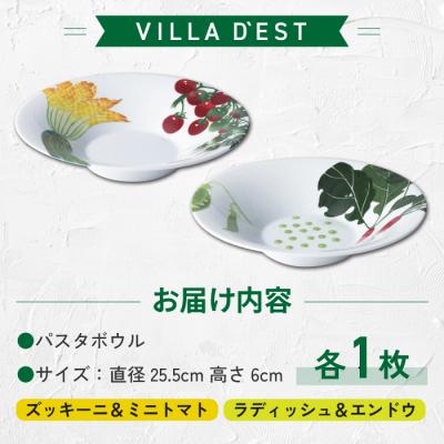 ふるさと納税 東御市 【ヴィラデストワイナリー】ベジタブルシリーズ食器　パスタボウル2枚セット |  | 02