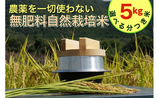 米 令和6年産 自然栽培米 にこまる ＜農薬を一切使わない無肥料栽培＞ 分つき米（五分つき、七分つき、八分つき、胚芽を残した精米）5kg・精米したて ｜ 新米 京都丹波産 無農薬米栽培向き 厳選品種 ※2024年10月中旬頃より順次発送予定