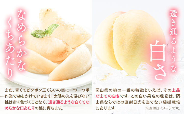 【2025年度分 先行予約】岡山の 桃 もも 1.3kg 4~8玉前後 岡山県産 ご家庭用《2025年6月下旬-9月上旬頃出荷》岡山県 浅口市 厳選出荷 白桃 黄桃 はなよめ 日川白鳳 白鳳 清水白桃