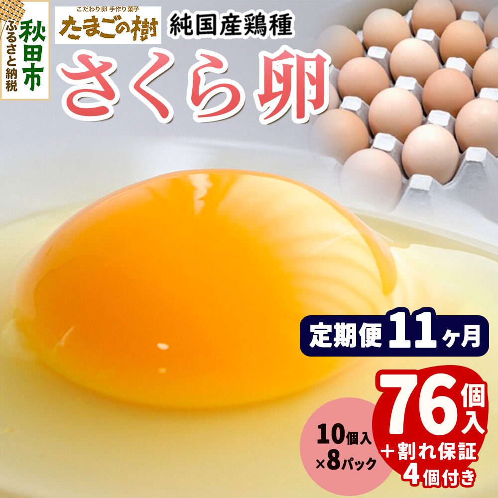 《定期便11ヶ月》 たまごの樹 純国産鶏種 卵『さくら』76個+割れ保証4個付き（10個入×8パック） [たまご タマゴ 玉子 鶏卵 まとめ買い オムレツ 卵かけご飯 朝食 料理 美味しい 瀧田養鶏場]