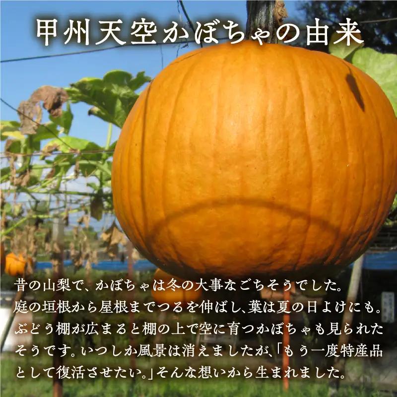 甲州天空かぼちゃカレー＆ポタージュセット【常温保存が可能なタイプ】