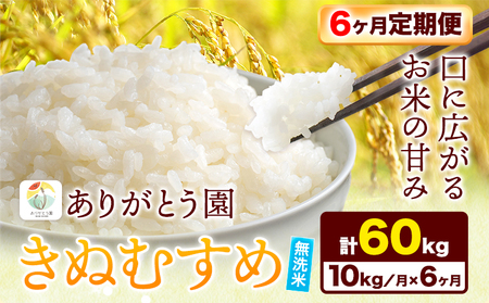 【6ヶ月定期便】令和6年産 米 岡山県産 きぬむすめ 無洗米 10kg ありがとう園《お申込み月の翌月から出荷開始》岡山県 矢掛町 無洗米 米 コメ 一等米 定期便 定期