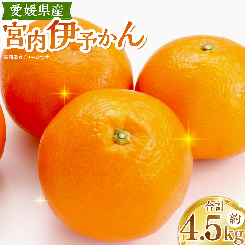 【ふるさと納税】 宮内伊予かん 約4.5kg 4L～2L 伊予柑 いよかん 柑橘 かんきつ フルーツ くだもの 果物 果実 デザート 愛媛県産 国産 愛媛県 送料無料 【2027年1月下旬～3月上旬発送予定】（1122）