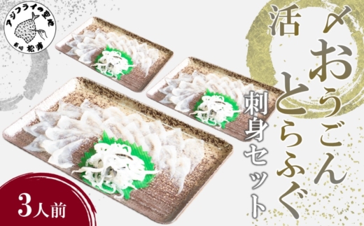 活〆おうごんとらふぐ刺身3人前セット( 長崎県産 おうごんとらふぐ とらふぐ とらふぐ刺身 高品質 )【C1-018】