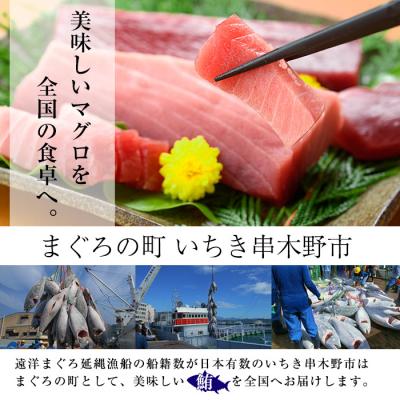 ふるさと納税 いちき串木野市 【令和7年お中元対応】ネギトロ用マグロのタタキ 600g(200g×3袋) 天然キハダ・メバチ使用 |  | 03