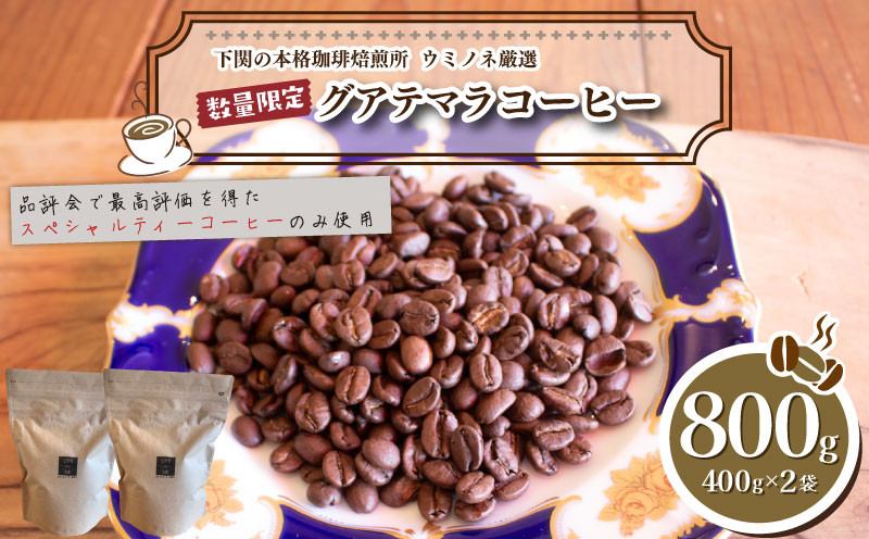 
            訳あり コーヒー粉 800g ( 400g × 2袋 ) 数量限定 ハンドドリップ グアテマラ 珈琲 深煎り 中煎り 浅煎り 自家焙煎 下関 山口
          