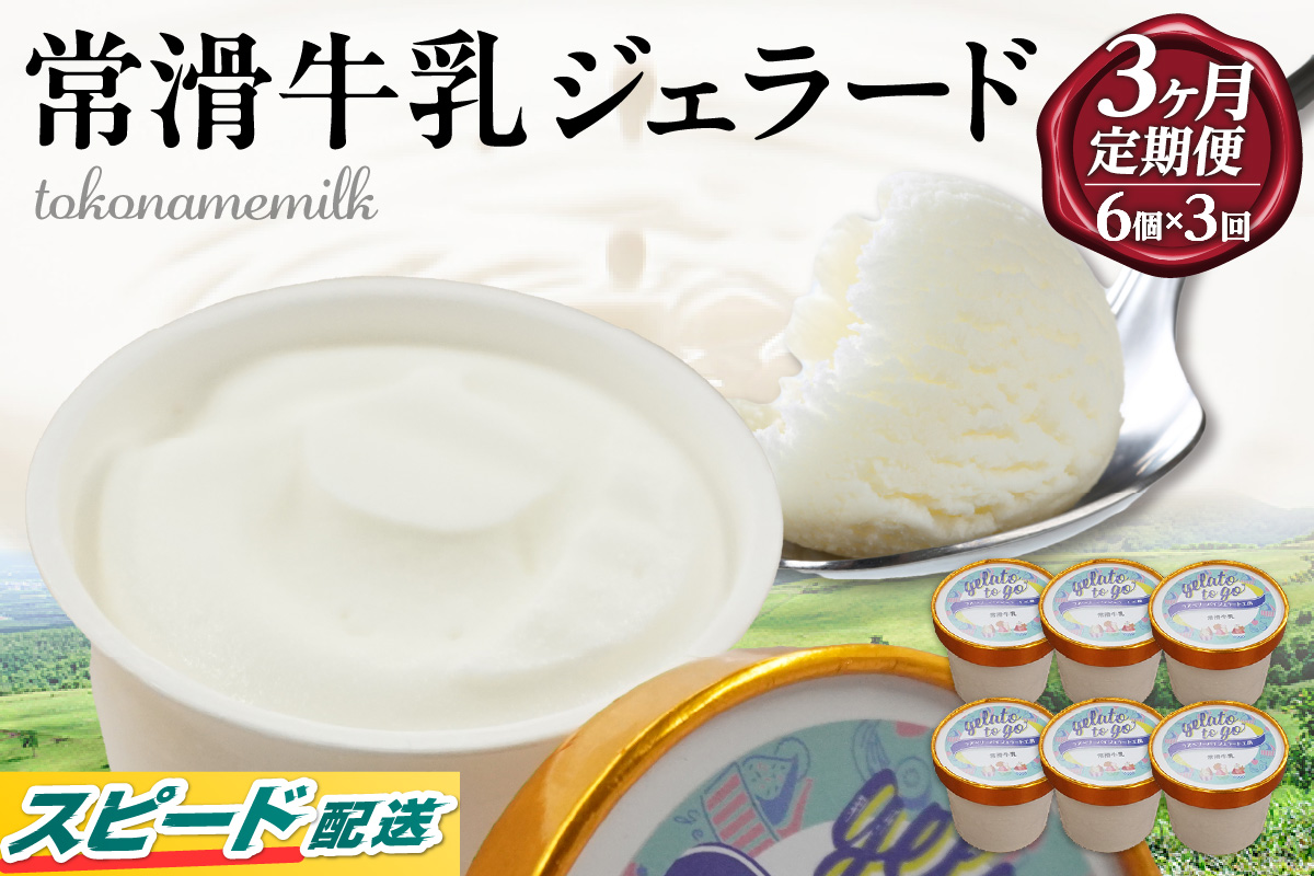 【7営業日以内にお届け】ジェラード　常滑牛乳使用　110ml×6カップ《3カ月定期便》｜スイーツ デザート 特産品