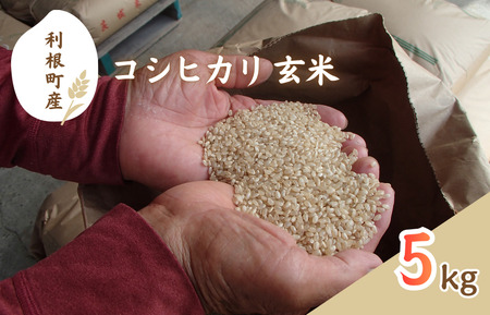 利根町産　コシヒカリ　玄米　5kg ／ 米 こめ コメ お米 おこめ コシヒカリ こしひかり 令和7年産 新米 玄米 ごはん ご飯 5kg 健康志向 茨城県 利根町 産地直送 送料無料