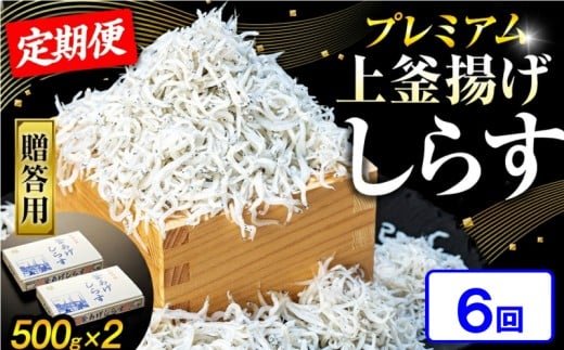 【定期便6回】釜揚げしらす 1kg(500g×2箱) 冷凍 箱入り 計12箱 惣菜 弁当 便利 ランキング 減塩 無添加 無着色 ご飯 ごはん 丼 料理 国産 カネ成 シラス おつまみ お取り寄せ お取り寄せ サラダ グルメ 人気 おすすめ シラス しらす しらすごはん shirasu sirasu SIRASU 人気シラス 愛知県 南知多町