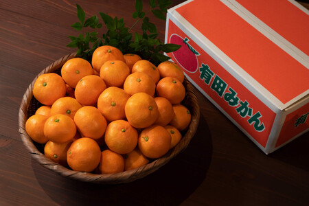 採れたて甘い手摘み有田みかん 10kg S～Lサイズ不揃い