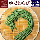 【ふるさと納税】ゆでわらび 500g(250g×2)