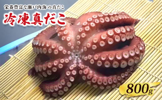 冷凍真だこ 約800g 海鮮 海産物 お取り寄せ 人気 蛸 たこ マダコ 真ダコ タコ冷凍 クール 生 刺身 漁師 瀬戸内海 活たこ 素潜り タコつぼ 歯ごたえ 解凍 お刺身 瀬戸内 瀬戸内海沖 瀬戸内海 香川県 丸亀市