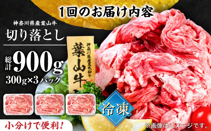 【全3回定期便】葉山牛 切り落とし300g×3パック 計900g【株式会社羽根】 [AKAG030]