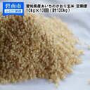 【ふるさと納税】米 定期便 愛知県産 あいちのかおり 玄米 10kg × 12回 計120kg 12ヶ月 愛知県 碧南市 送料無料