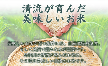 【8月中旬より発送開始】令和7年産 野根川米20kg（10kg×2袋）MZ003