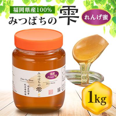 ふるさと納税 大牟田市 みつばちの雫　国産れんげ蜜　1000g