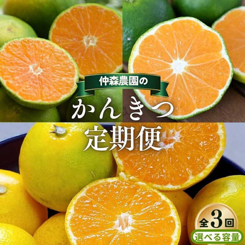 【ふるさと納税】 【全3回】仲森農園の 柑橘定期便 【選べる容量】 超極早生温州 極早生温州 由良早生 みかん ミカン 蜜柑 温州みかん 温州ミカン 柑橘 みかん定期便 フルーツ定期便 果物定期便 柑橘定期便 フルーツ 果物 くだもの 甘い 旬 人気 三重県 熊野市 送料無料