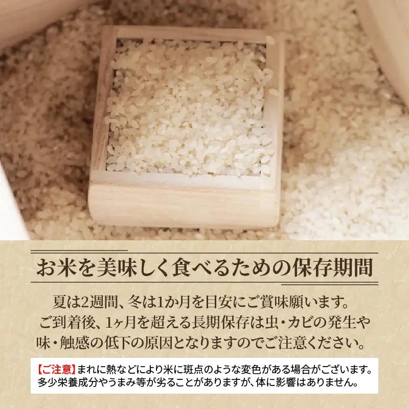 【新米 先行予約】 令和8年産米 ゆうだい21 白米 2kg