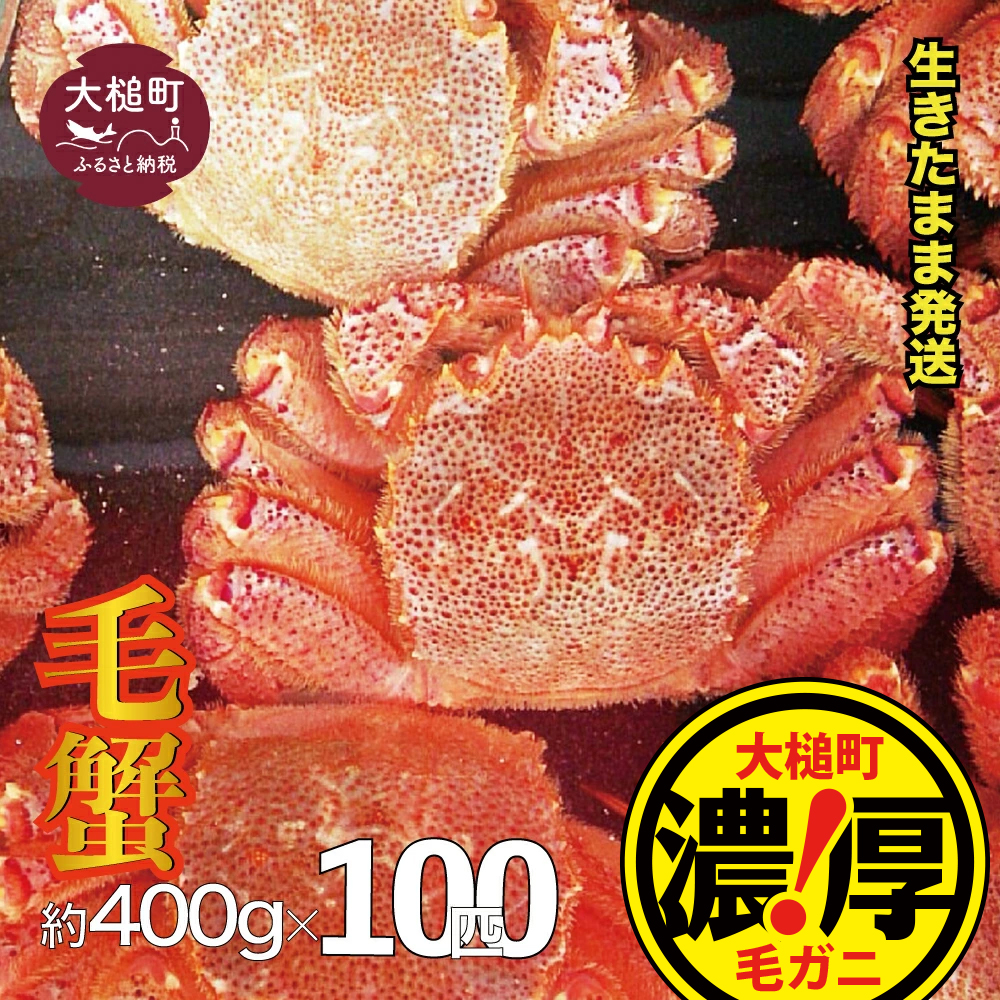 【令和7年発送】三陸産！活毛ガニセット 400g × 100杯【2025年2月~4月発送】【配送日指定不可】