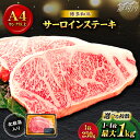 【ふるさと納税】【選べる枚数！】博多和牛 牛肉 サーロイン ステーキ 1〜4枚（1枚あたり250g）＜株式会社MEAT PLUS＞那珂川市 [GBW002]▽牛肉ステーキ 高級 和牛 記念日 料理 家庭用 博多和牛 黒毛和牛 国産牛 高級牛