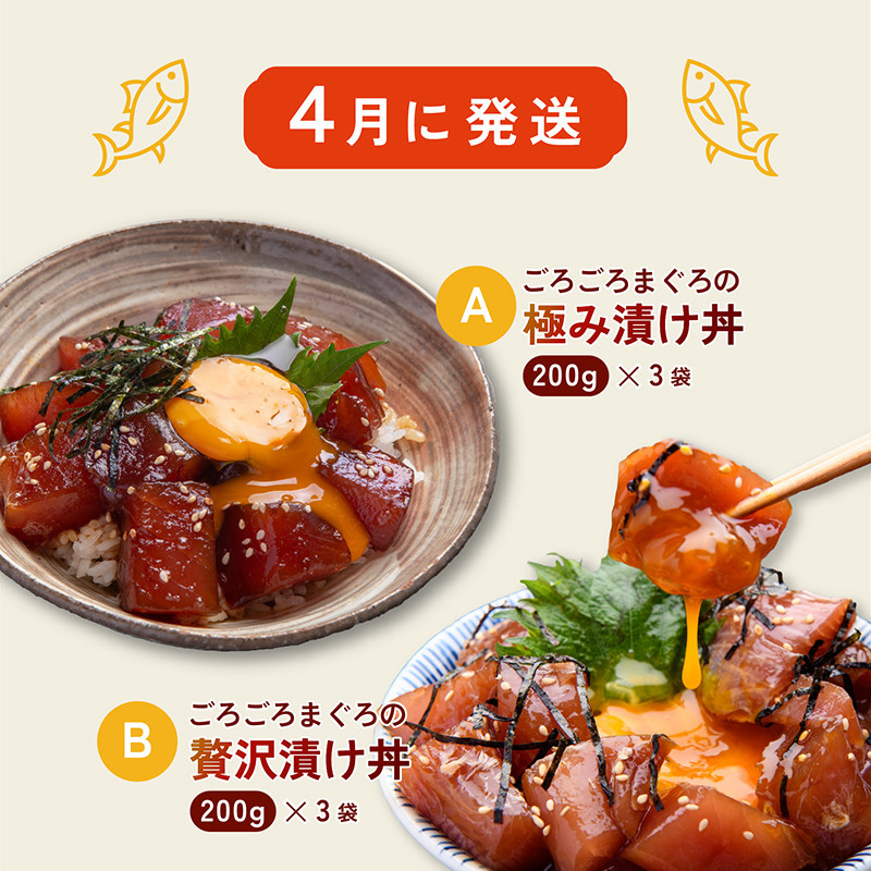 【年3回（4・8・12月）お届け】四季で楽しむ生まぐろ定期便（丼・洋風・刺身の豪華セット）