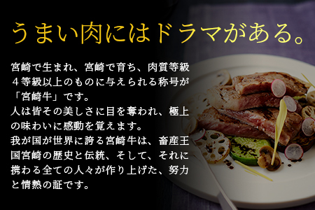 受賞歴多数!! 宮崎牛 ロースステーキ 250g×2【合計500g】