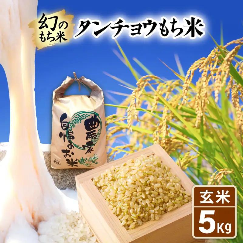 【先行予約】令和8年産 新米  幻のもち米 タンチョウ もち米 5kg（玄米）【10月中旬以降発送】 [e35-a060]