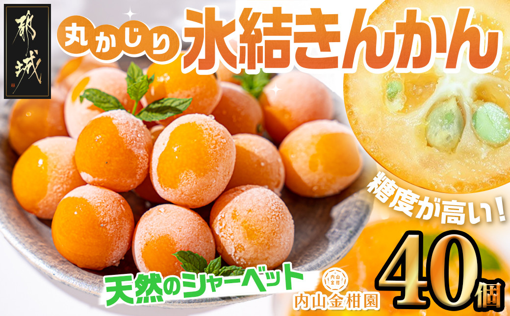 
天然のシャーベット! 丸かじり氷結きんかん_AA-B502_(都城市) 都城産 完熟きんかん 糖度16度以上 冷凍きんかん 急速冷凍 甘露煮 コンポート 皮のまま丸ごと
