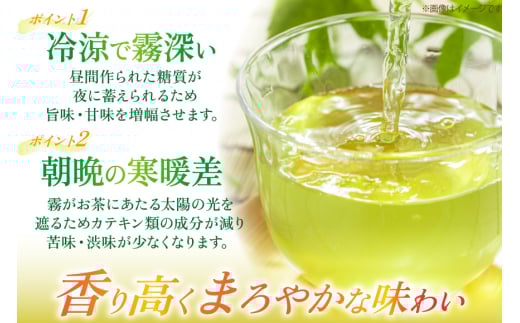 茶 お茶 緑茶 長崎 そのぎ茶 定期便 隔月 彼杵茶 玉緑茶 アルミボトル 290ml 24本 総計144本 6回 [彼杵の荘 長崎県 東彼杵町 hs42bag270018] 2か月に1回 ペットボト