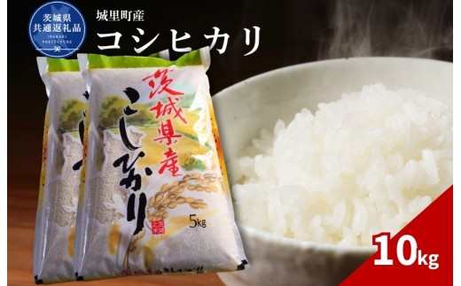 コシヒカリ 10kg 米 こめ コメ お米 おこめ こしひかり 白米 精米 ごはん ご飯 令和7年産 茨城県 城里町 高萩市（茨城県共通返礼品・城里町産）