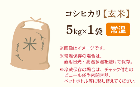 【先行予約】永平寺町飯島産　コシヒカリ  【玄米】５kg【2025年10月中旬以降順次発送開始予定】/ふるさと納税 米 5kg 福井県 永平寺町 の おいしい お米 発祥の地 こめ おこめ 白米 精米