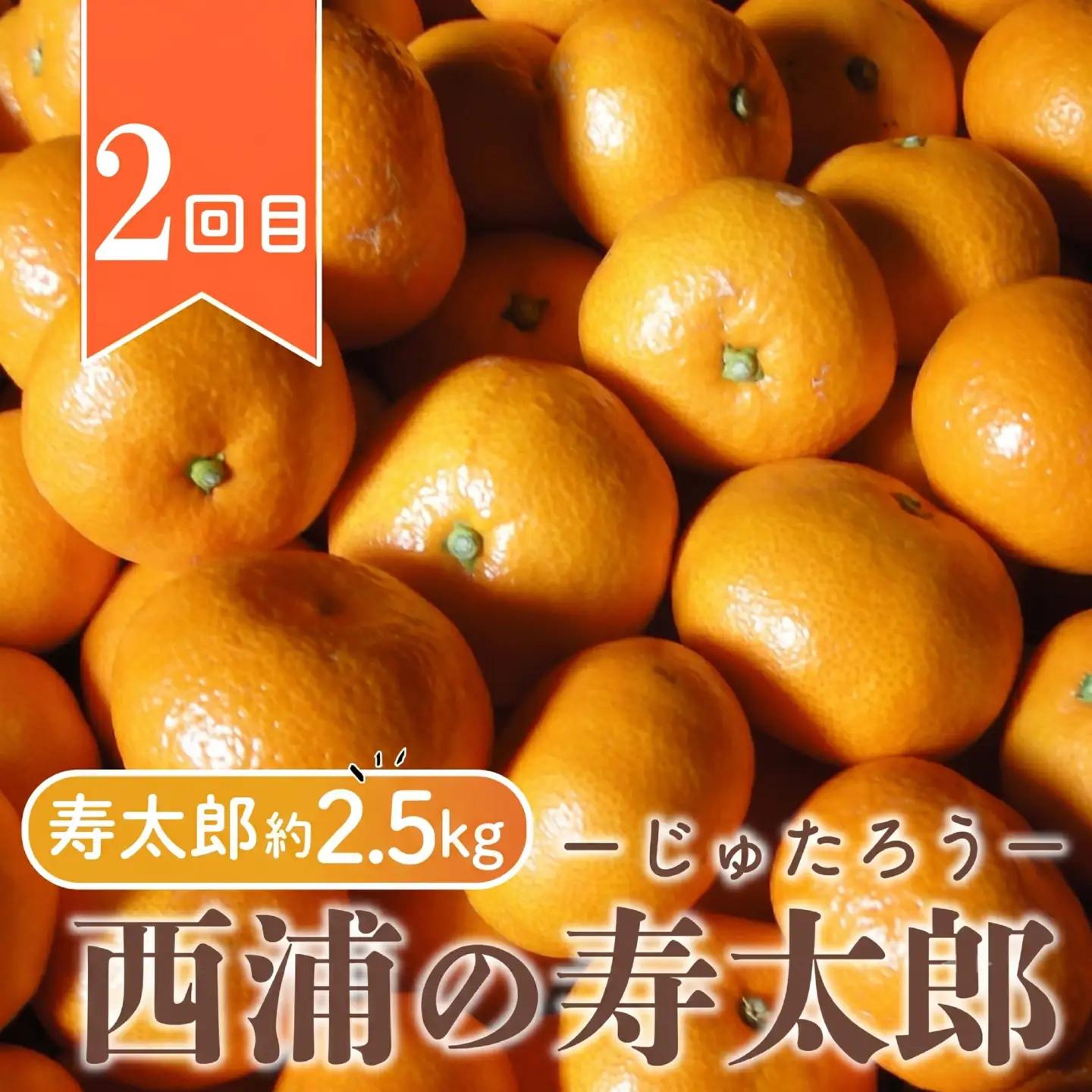 【 柑橘 定期便 】 訳あり 3回 定期便 由良 みかん 2.5kg 寿太郎 みかん 2.5kg 黄金柑 2.5kg 