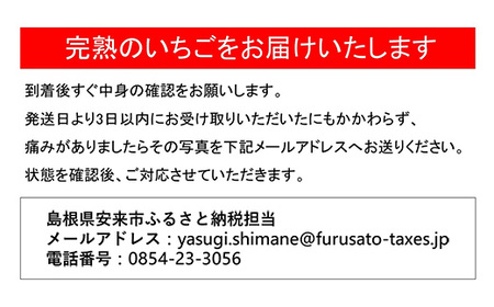 いちご 章姫 2パックセット［島根県安来産　完熟いちご］ 先行予約 受付 完熟 苺 イチゴ 島根県産 甘い 人気 特産品 高級 フルーツ デザート 
