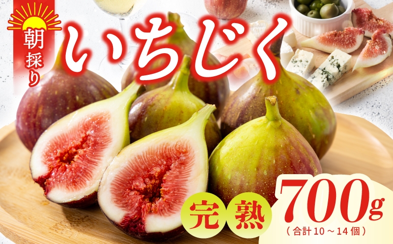 
                  【農家直送】完熟いちじく 700g以上（2パック）【朝採り 訳あり サイズ不揃い わけあり 産地直送 イチジク フルーツ 果物】
                