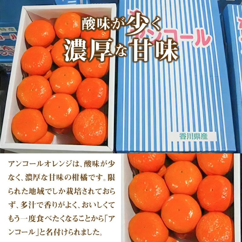 M02-0106_【ふるさと納税】【先行予約】【配送不可地域:北海道・沖縄県・離島】希少な果実!「アンコールオレンジ」 約5kg  秋 旬