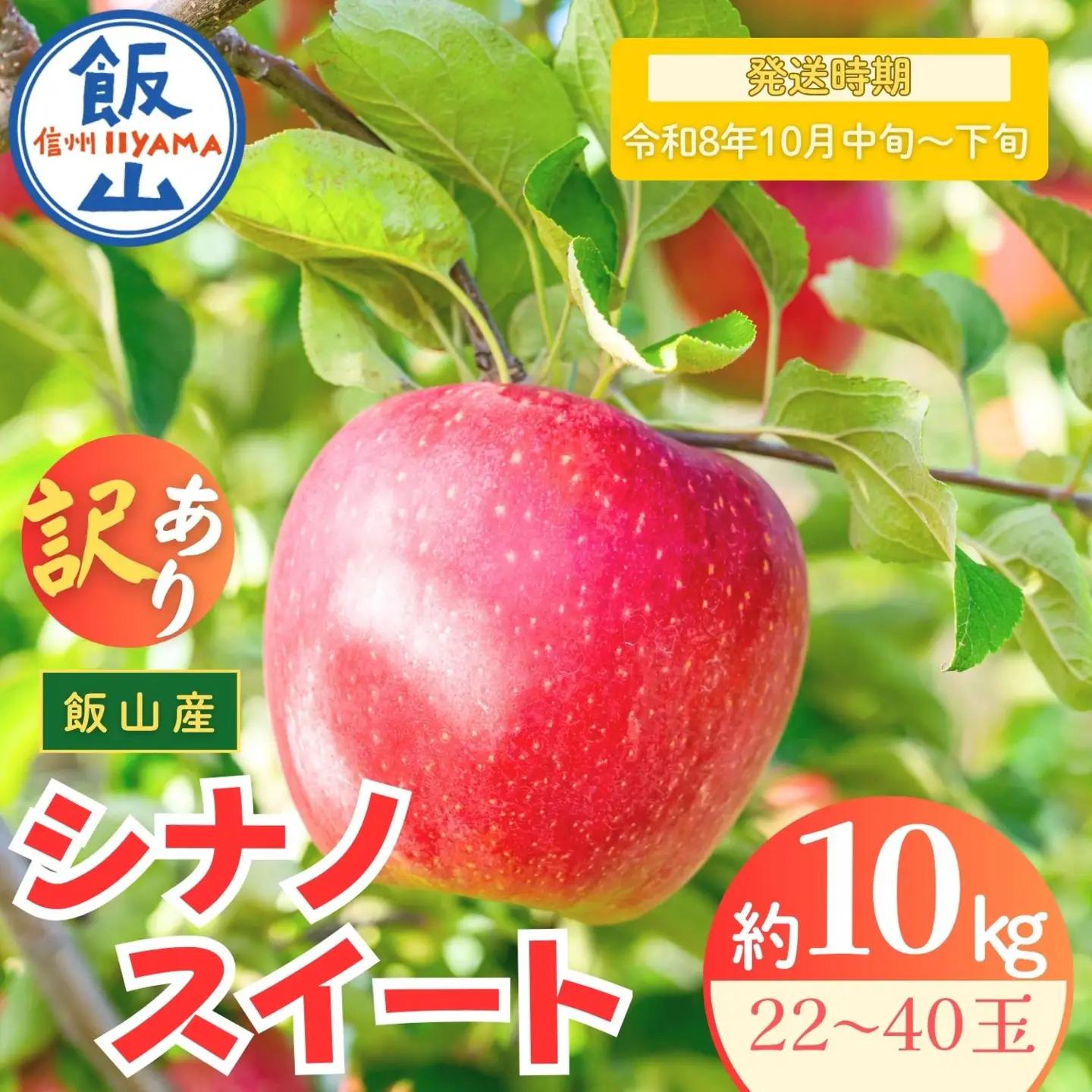 【訳あり】りんご シナノスイート 約10kg（22～40玉）2026年10月中旬より発送