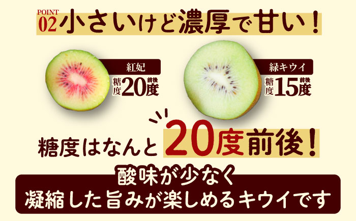 赤キウイ「紅妃」特大サイズ 1.7kg ／ キウイ キウイフルーツ 果物 フルーツ 国産 産地直送 農家直送【スマイル農園たかの】 [BKCD001]